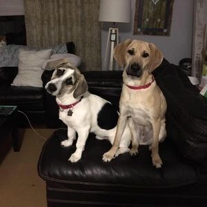 Meet your Posher, Robin